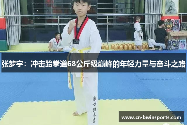 张梦宇:冲击跆拳道68公斤级巅峰的年轻力量与奋斗之路 张梦宇:冲击跆拳道68公斤级巅峰的年轻力量与奋斗之路