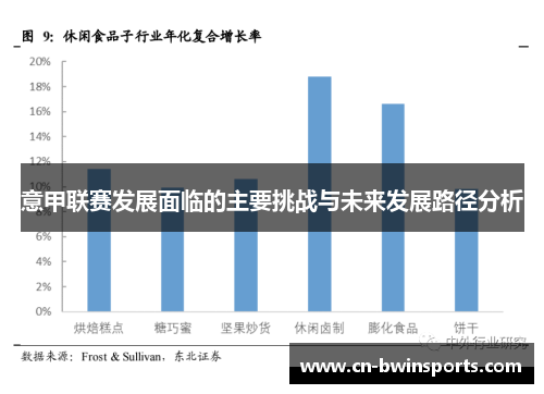 意甲联赛发展面临的主要挑战与未来发展路径分析