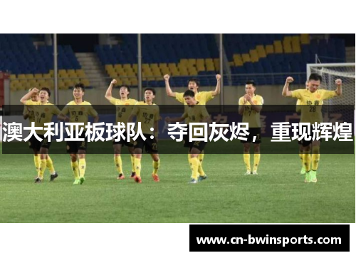 澳大利亚板球队：夺回灰烬，重现辉煌