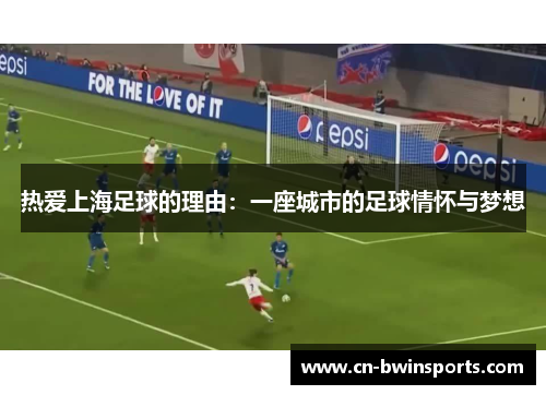 热爱上海足球的理由：一座城市的足球情怀与梦想