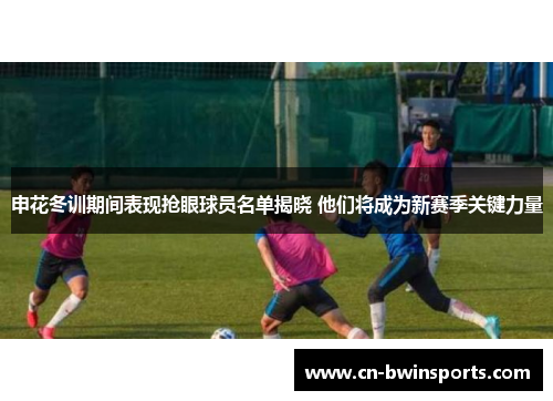 申花冬训期间表现抢眼球员名单揭晓 他们将成为新赛季关键力量