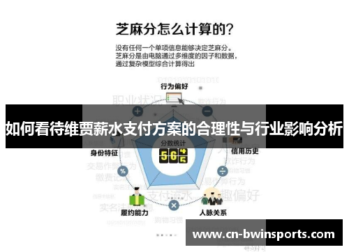 如何看待维贾薪水支付方案的合理性与行业影响分析