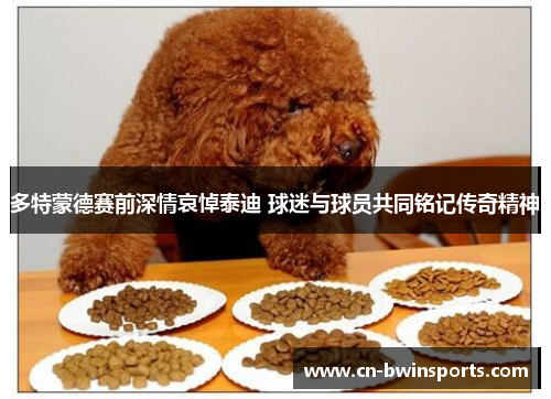 多特蒙德赛前深情哀悼泰迪 球迷与球员共同铭记传奇精神