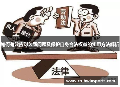 如何有效应对欠薪问题及保护自身合法权益的实用方法解析
